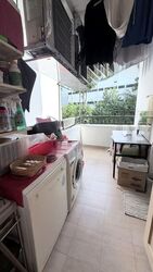 Tanglin Park (D10), Condominium #542593411
